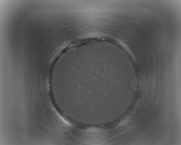 X0000068280633200604281618