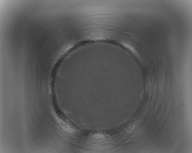 X0000068280635200604281618