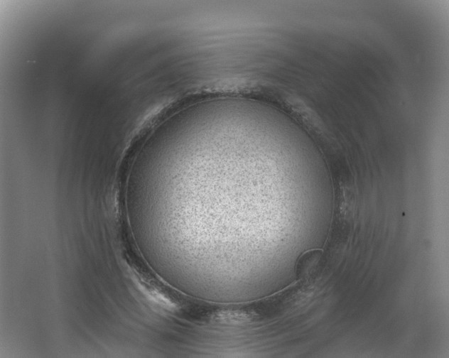 X0000068280636200604281618