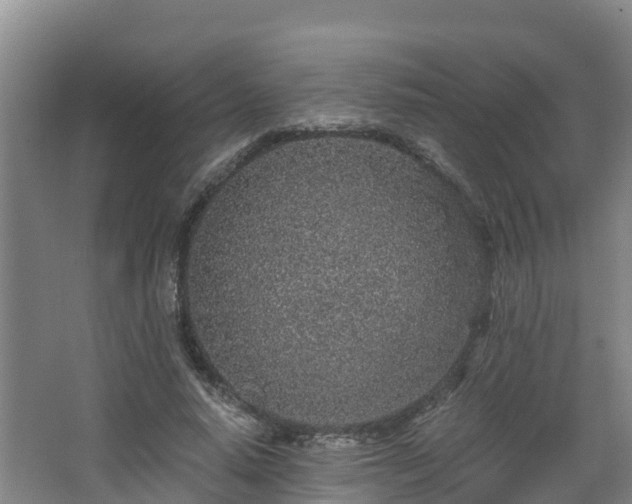 X0000068280640200604281618