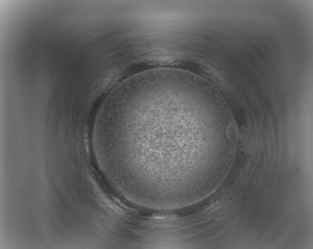 X0000068280642200604281619