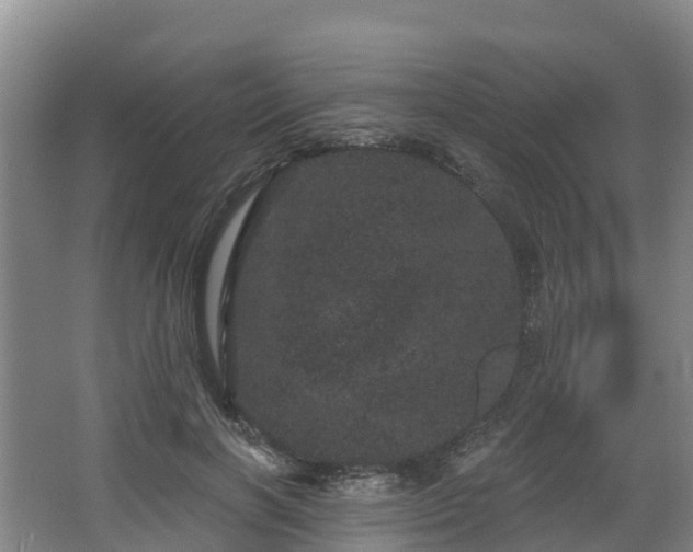 X0000068280646200604281619