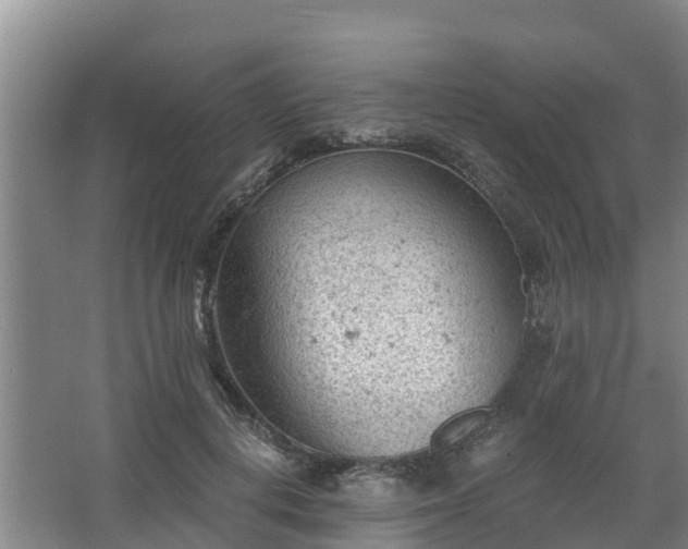 X0000068280648200604281619