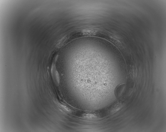 X0000068280649200604281619