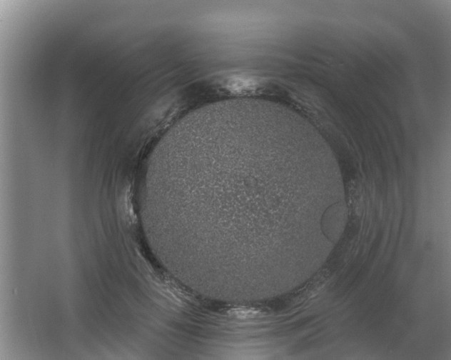 X0000068280650200604281619