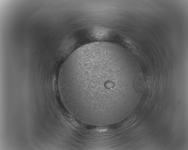 X0000068280651200604281619