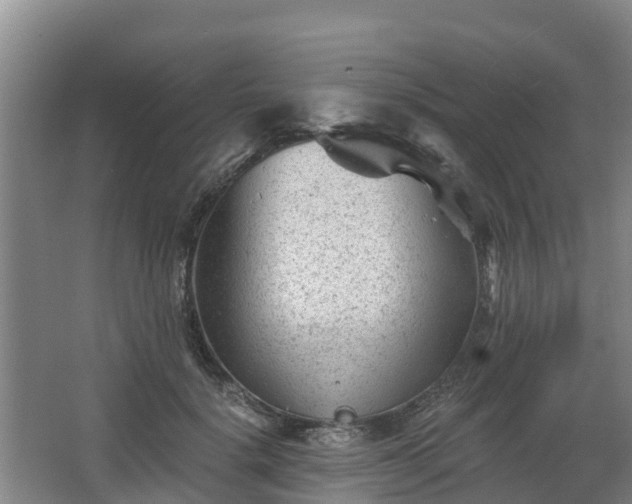 X0000068280652200604281619