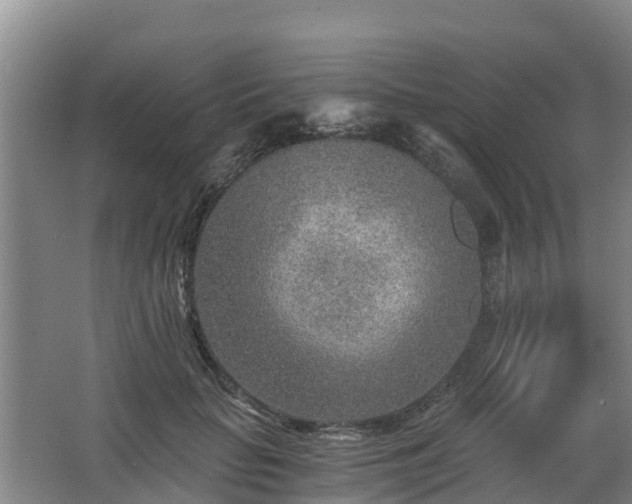 X0000068280653200604281619