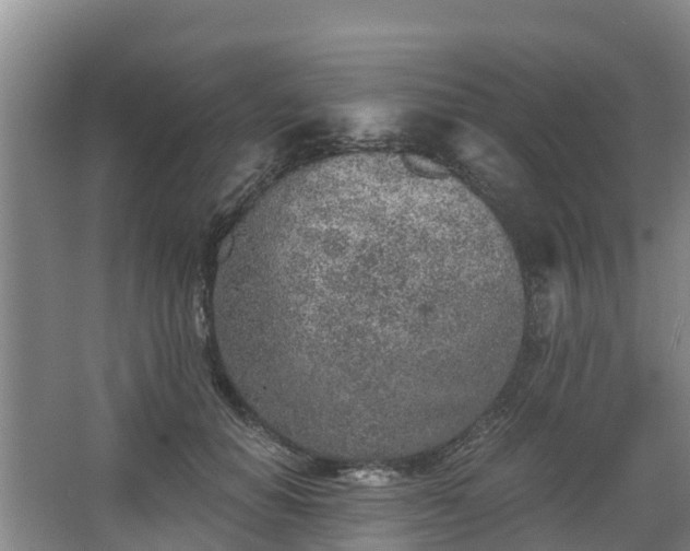 X0000068280654200604281619