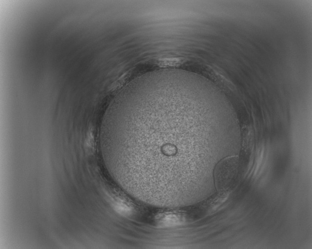 X0000068280655200604281619