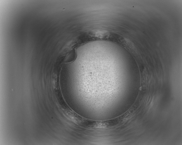 X0000068280656200604281619