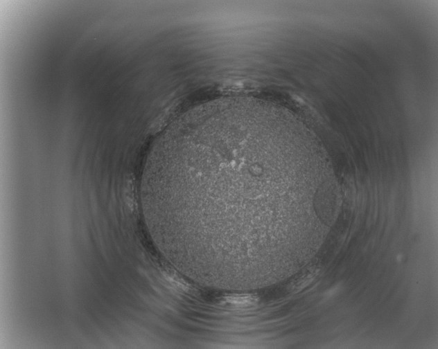 X0000068280659200604281619