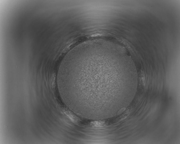 X0000068280660200604281619