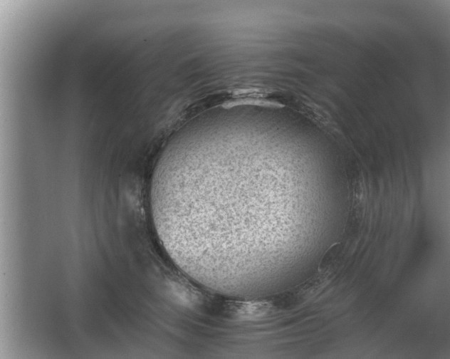 X0000068280663200604281619