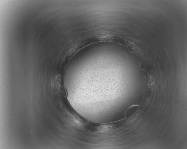 X0000068280664200604281619