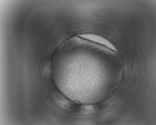 X0000068280665200604281619