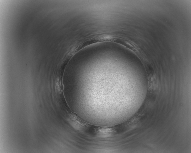 X0000068280669200604281619