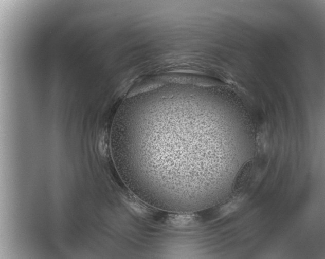 X0000068280671200604281619