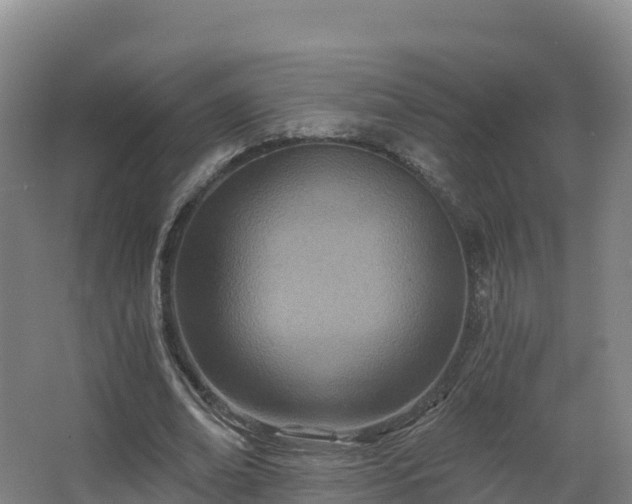 X0000068280678200604281618