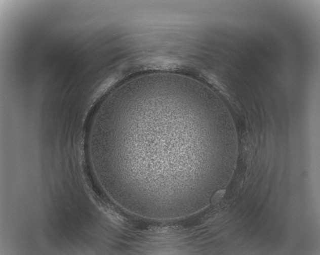 X0000068280679200604281618