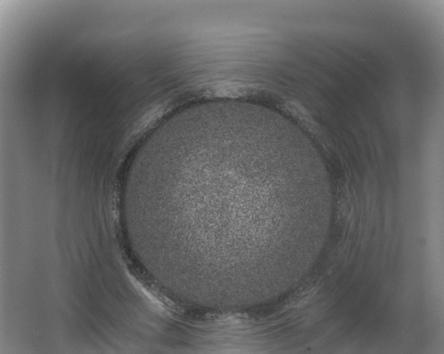 X0000068280683200604281618