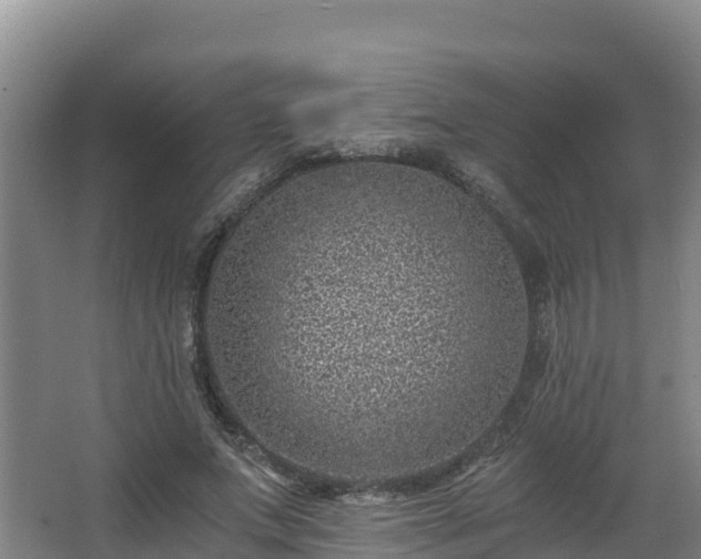 X0000068280687200604281618