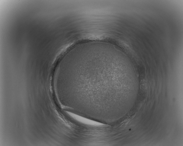 X0000068280688200604281618