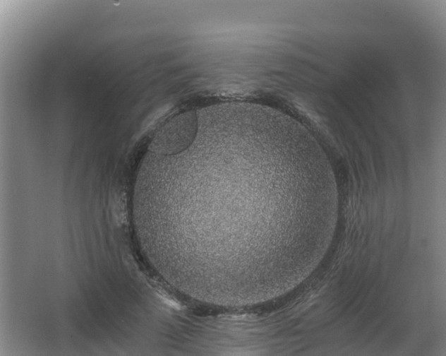 X0000068280689200604281618