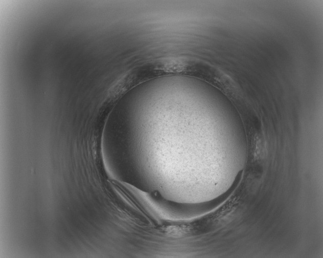 X0000068280697200604281618