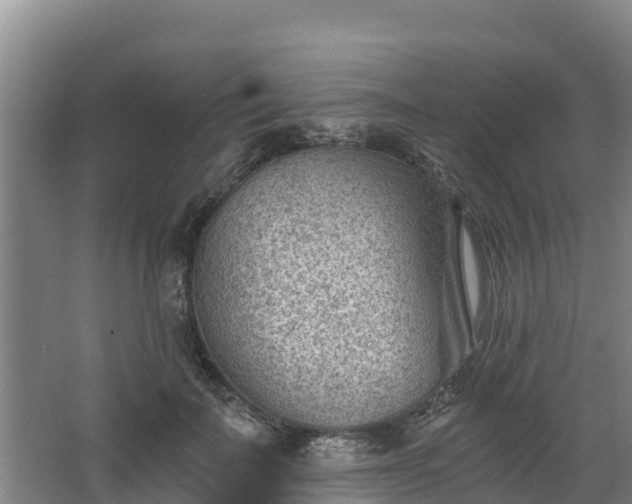 X0000068280699200604281618