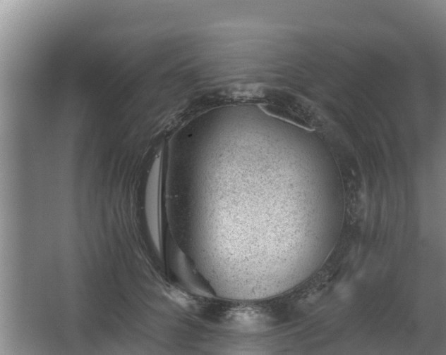 X0000068280704200604281618