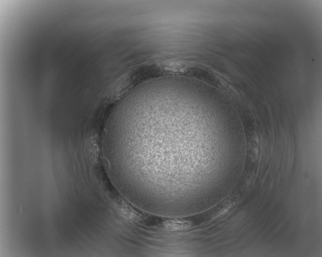 X0000068280707200604281618