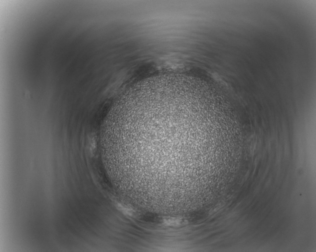 X0000068280709200604281618