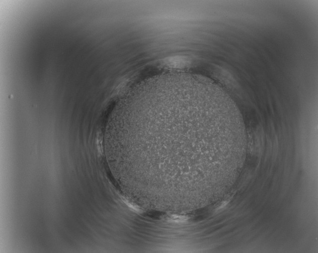 X0000068280718200604281617