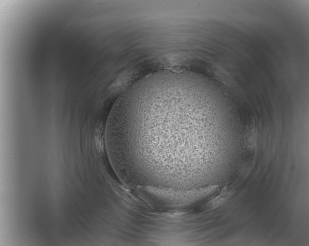 X0000068280719200604281617