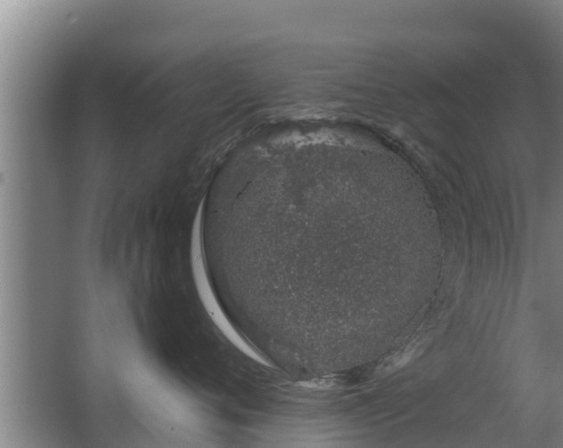 X0000068280720200604281617