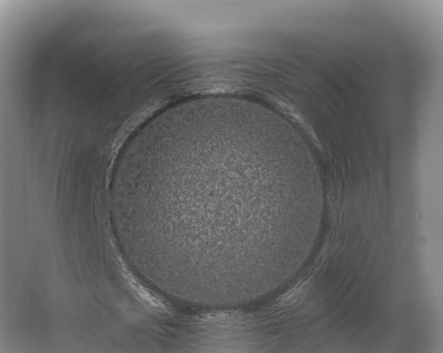 X0000068280721200604281617