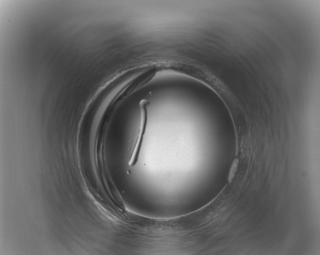 X0000068280722200604281617