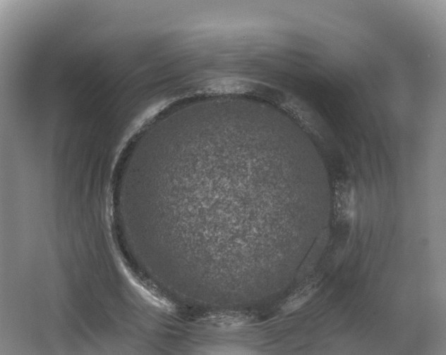 X0000068280726200604281617