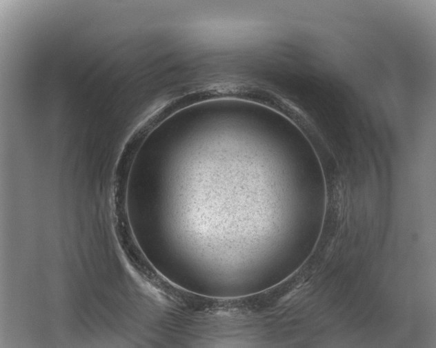 X0000068280730200604281617