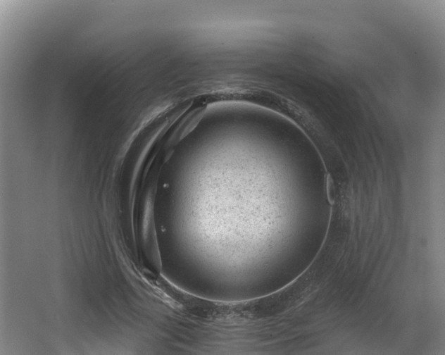 X0000068280731200604281617