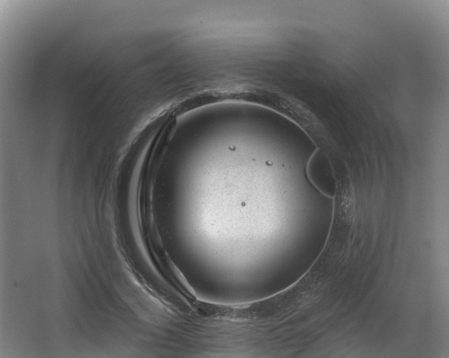 X0000068280732200604281617