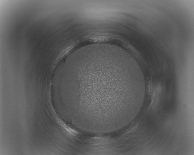 X0000068280733200604281617