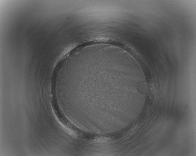 X0000068280734200604281617