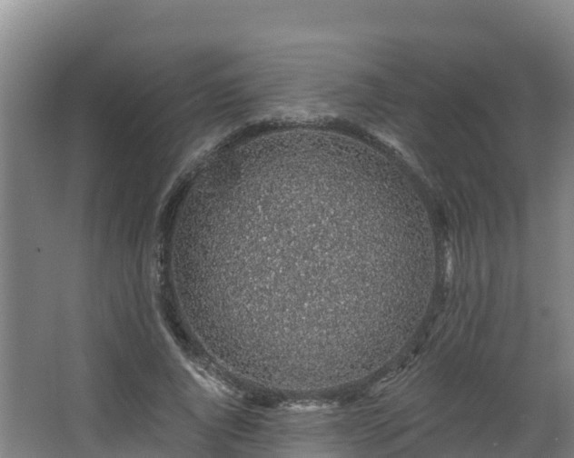 X0000068280736200604281617