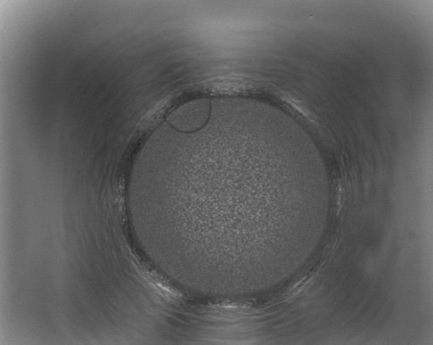 X0000068280737200604281617