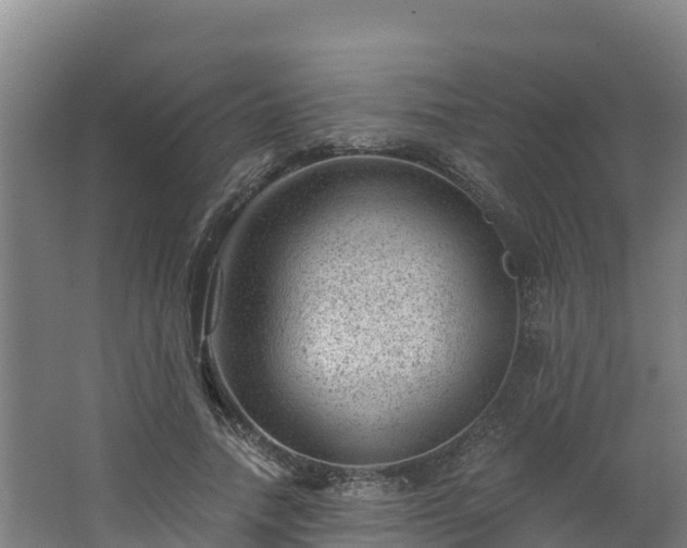 X0000068280738200604281617