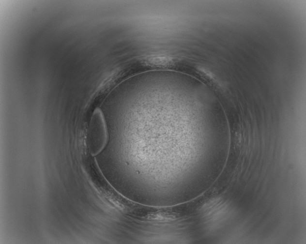 X0000068280739200604281617