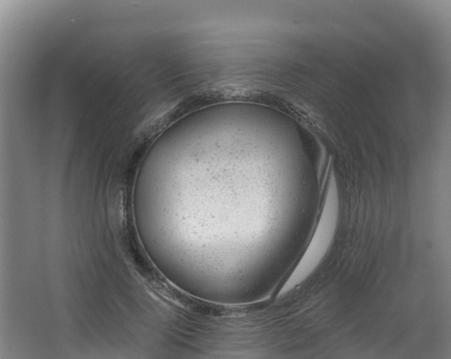 X0000068280740200604281617