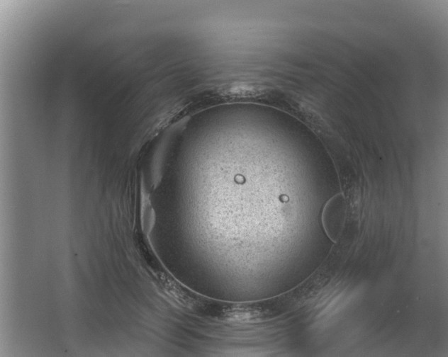 X0000068280746200604281617